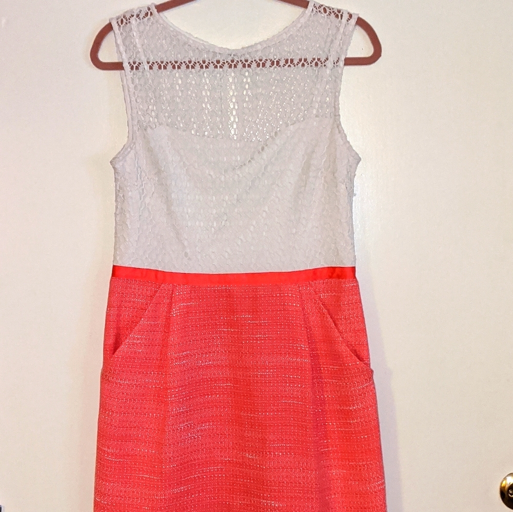 Sandra Darren Combined Lace Dress
